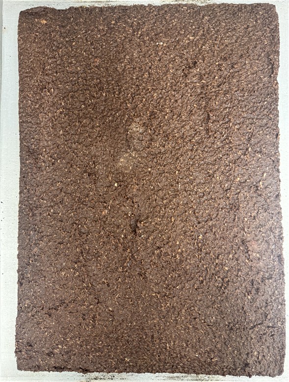 Hel pl. Chokoladekage m/diskos